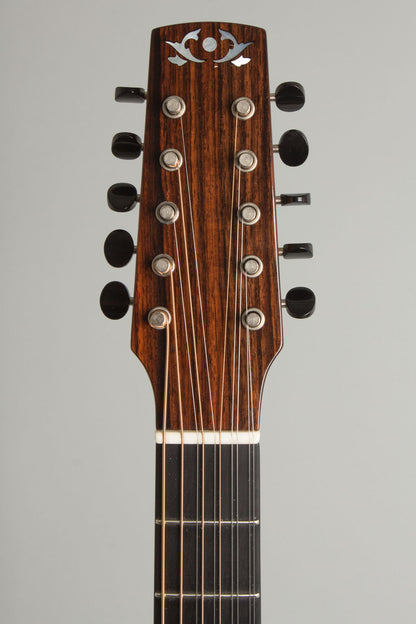 Circle Strings A-1 10 String Acoustic Flat Top Guitar (2018)