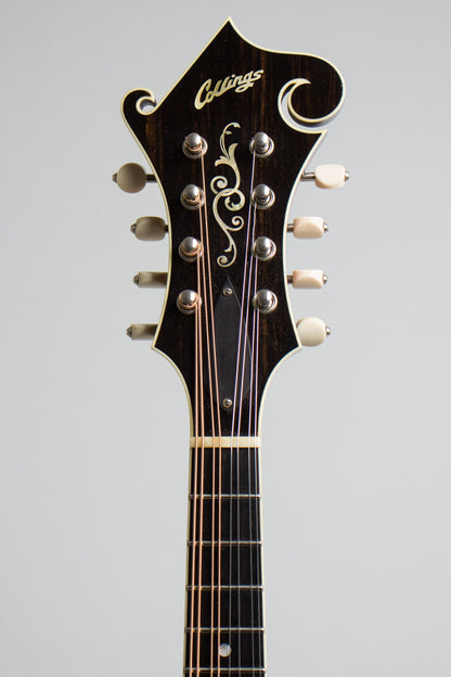 Collings MF5 Carved Top Mandolin (2012)