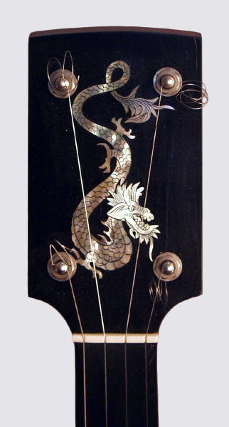unknown 5 String Fretless Banjo