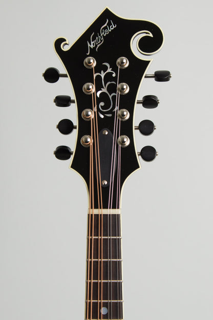 Northfield NFB-5FA Big Mon Carved Top Mandolin (2026)