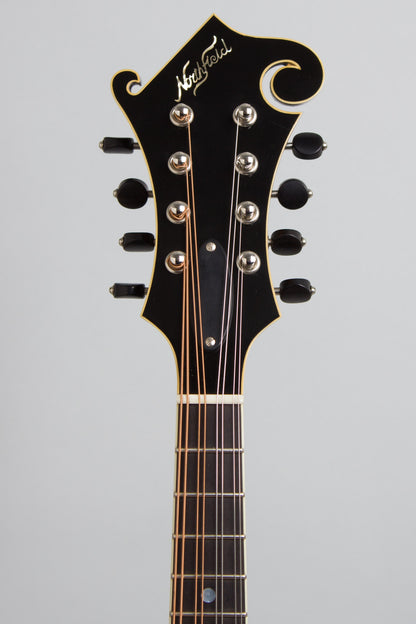 Northfield NFA-V3 Artist Series Carved Top Mandolin (2021)