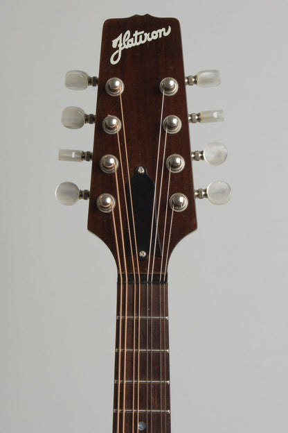 Flatiron Festival A Carved Top Mandolin (1993)