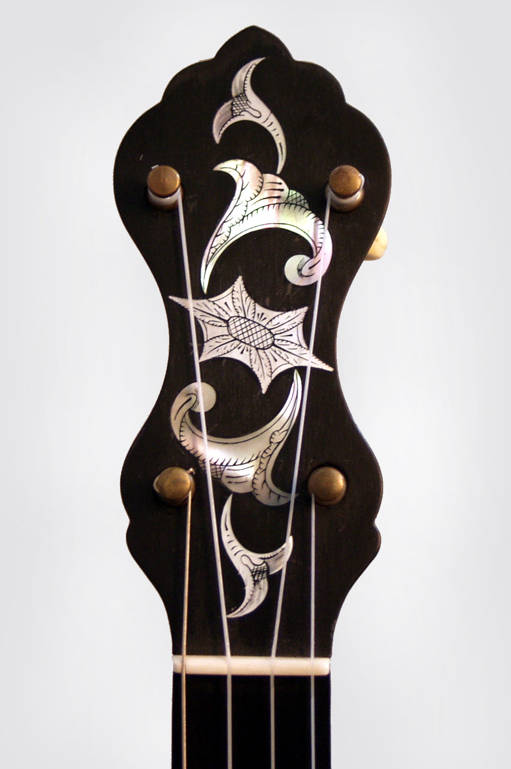 W. A. Cole Eclipse 5 String Banjo (1895)