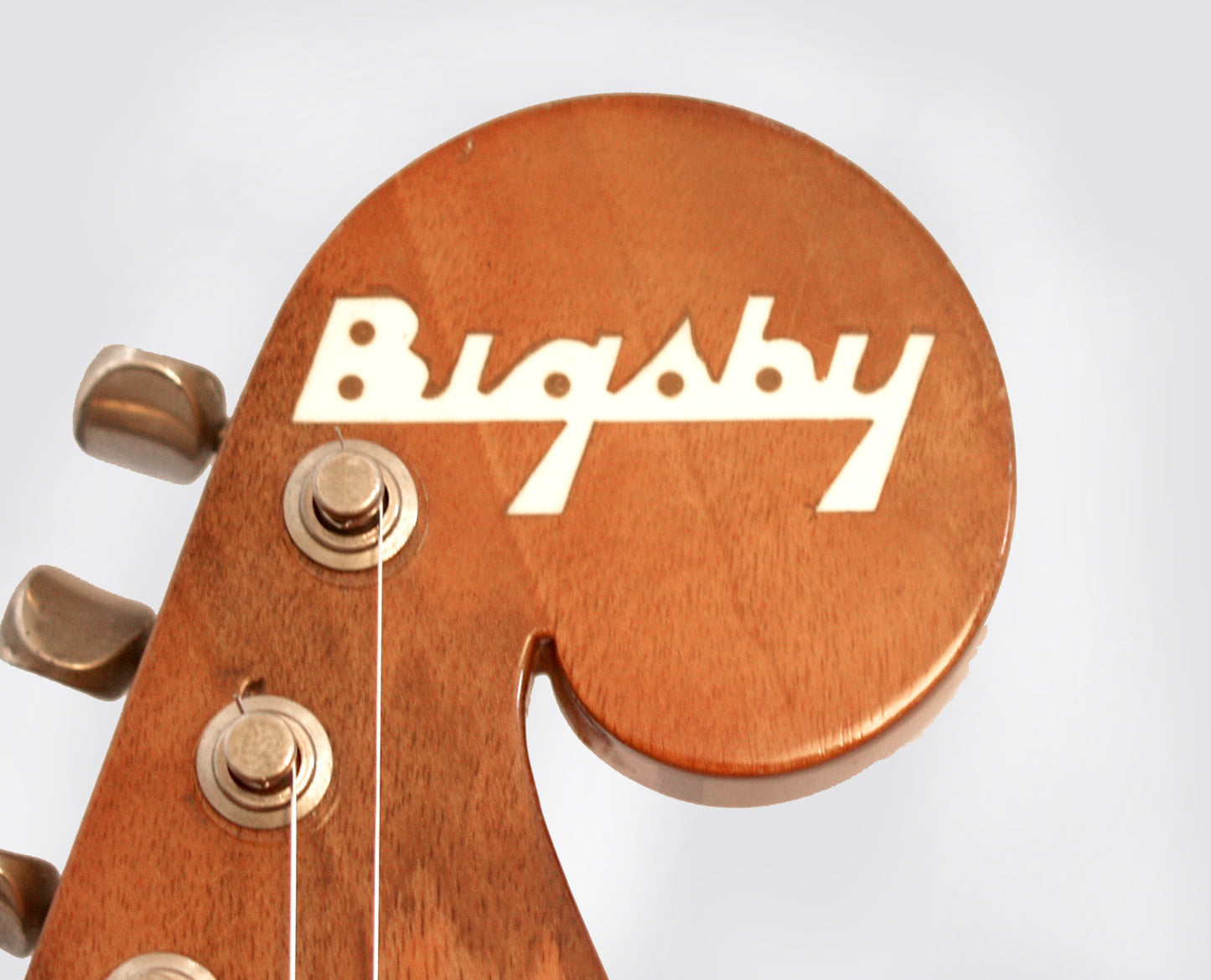 Bigsby/Martin Acoustic-Electric Guitar