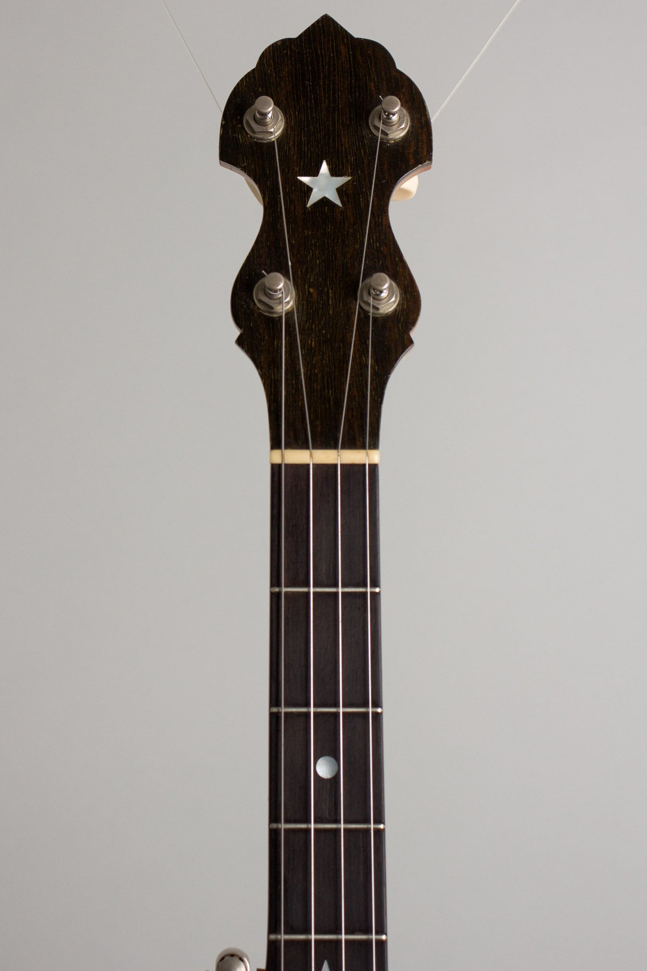 Bart Reiter Professional 5 String Banjo