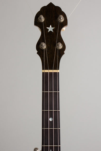 Bart Reiter Professional 5 String Banjo