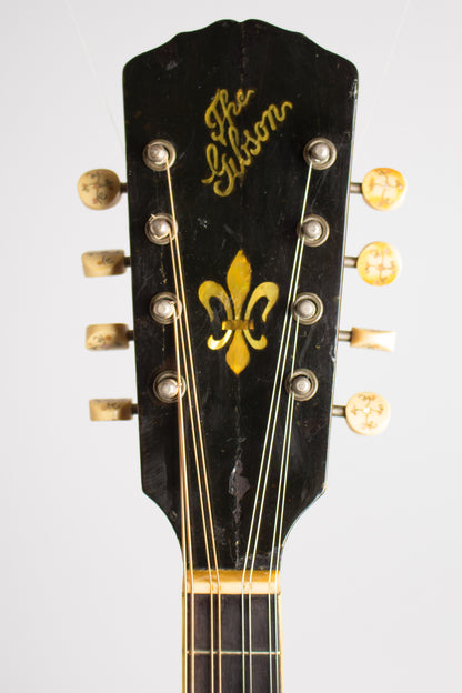 Gibson A-4 Carved Top Mandolin (1911)