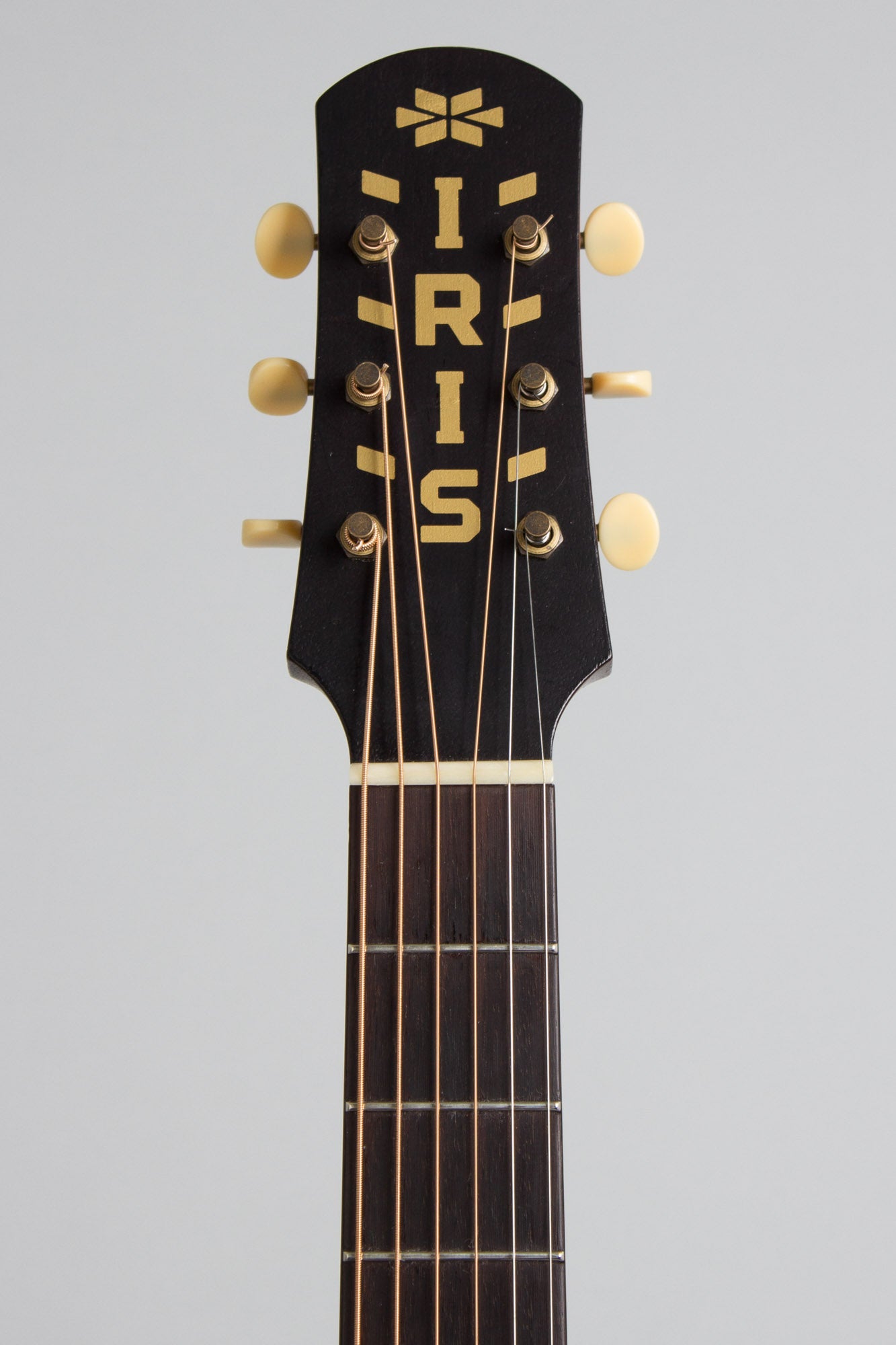 Iris DF Flat Top Acoustic Guitar