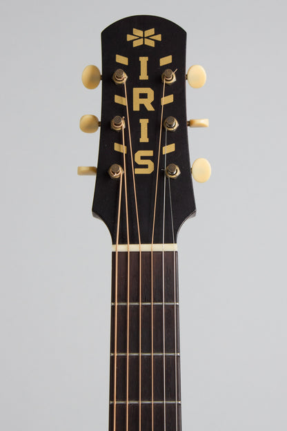Iris DF Flat Top Acoustic Guitar