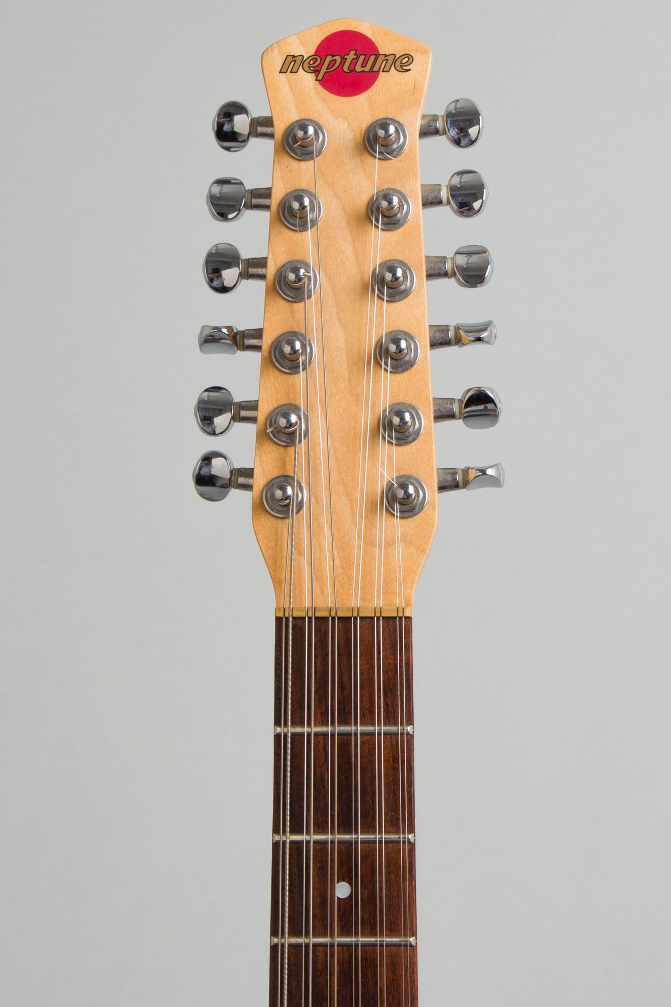 Jerry Jones Neptune 12 String Semi-Hollow Body Electric Guitar (2004)