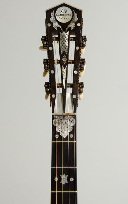 Cammeyer 5 String Zither Banjo (1909)