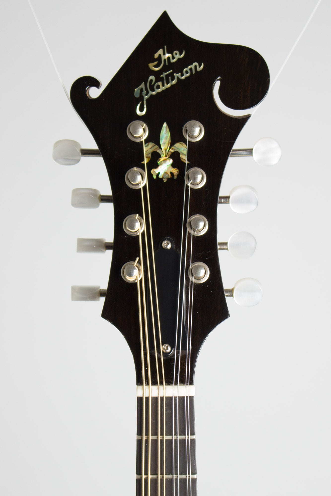 Flatiron Festival-F Carved Top Mandolin (2001)