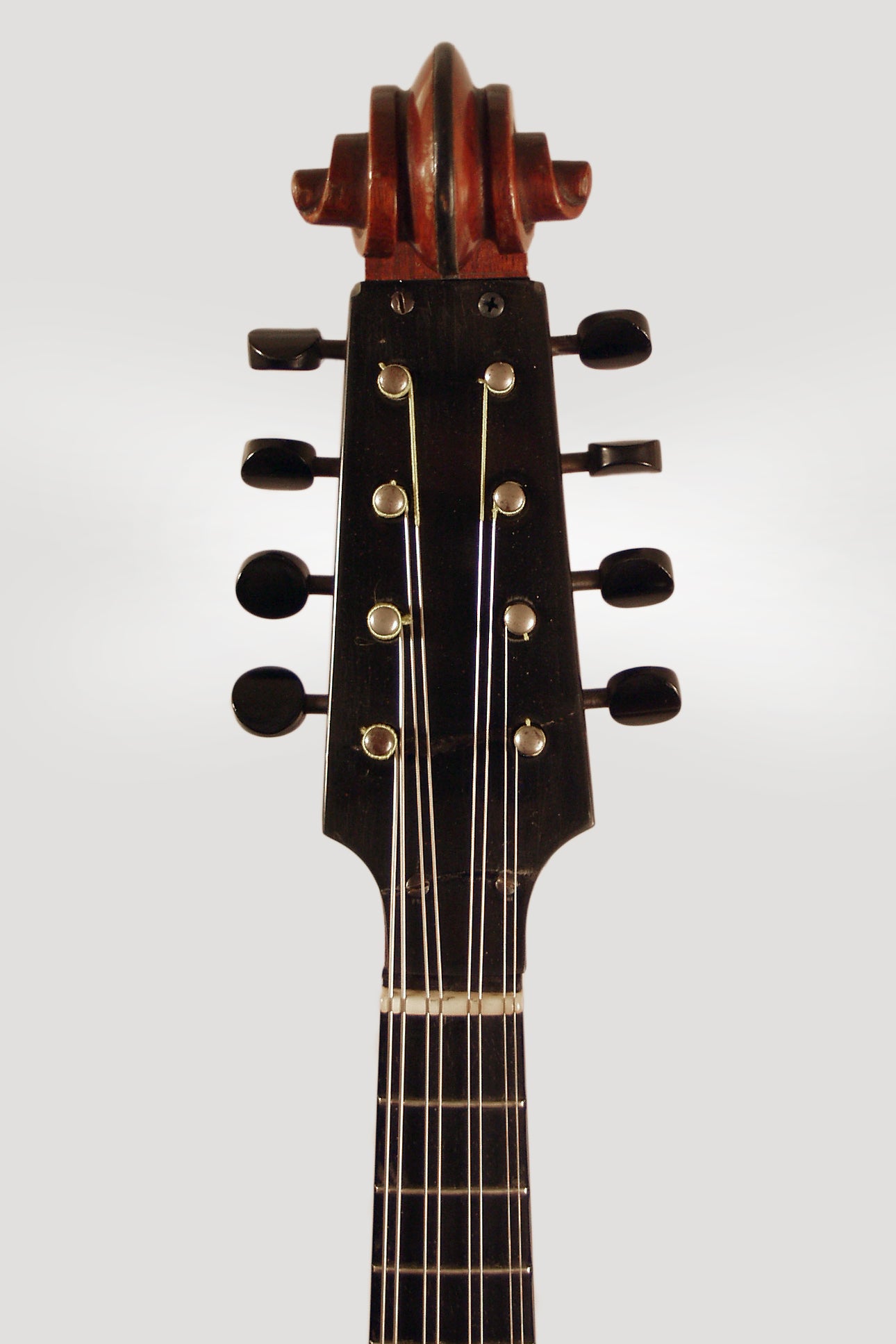 Lyon & Healy Style A Professional Carved Top Mandolin (1921)