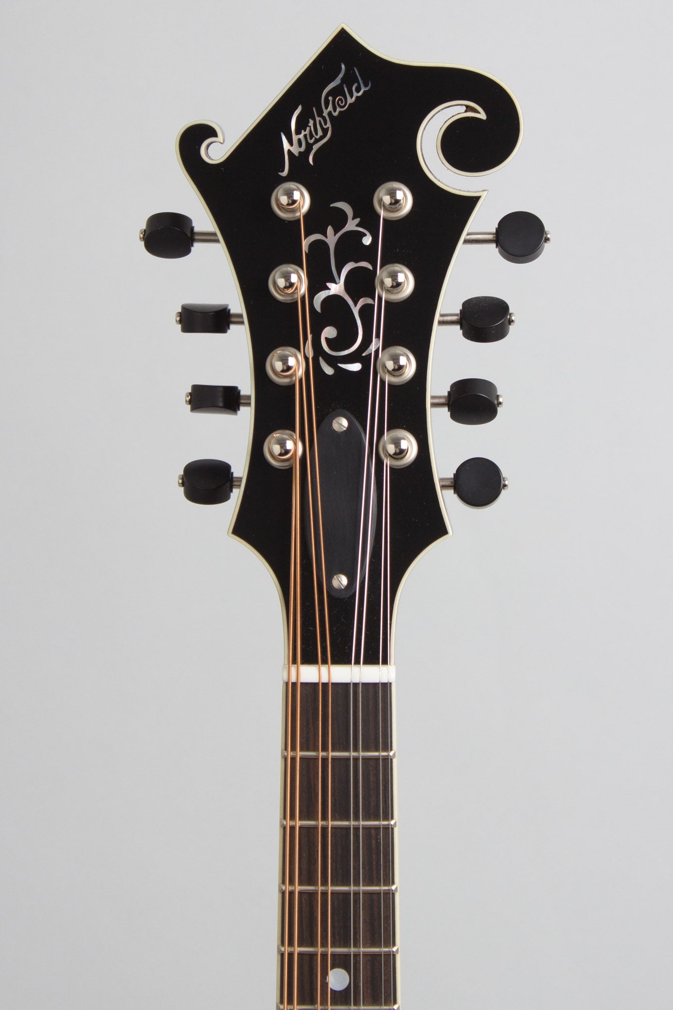 Northfield NFB-F5AWN Big Mon Carved Top Mandolin (2025)