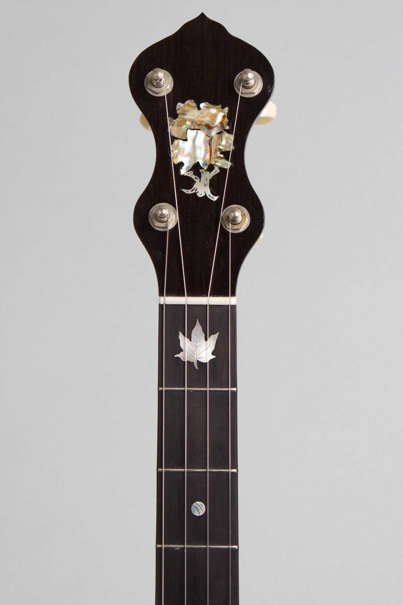 Mike Ramsey Woody 5 String Banjo (1999)