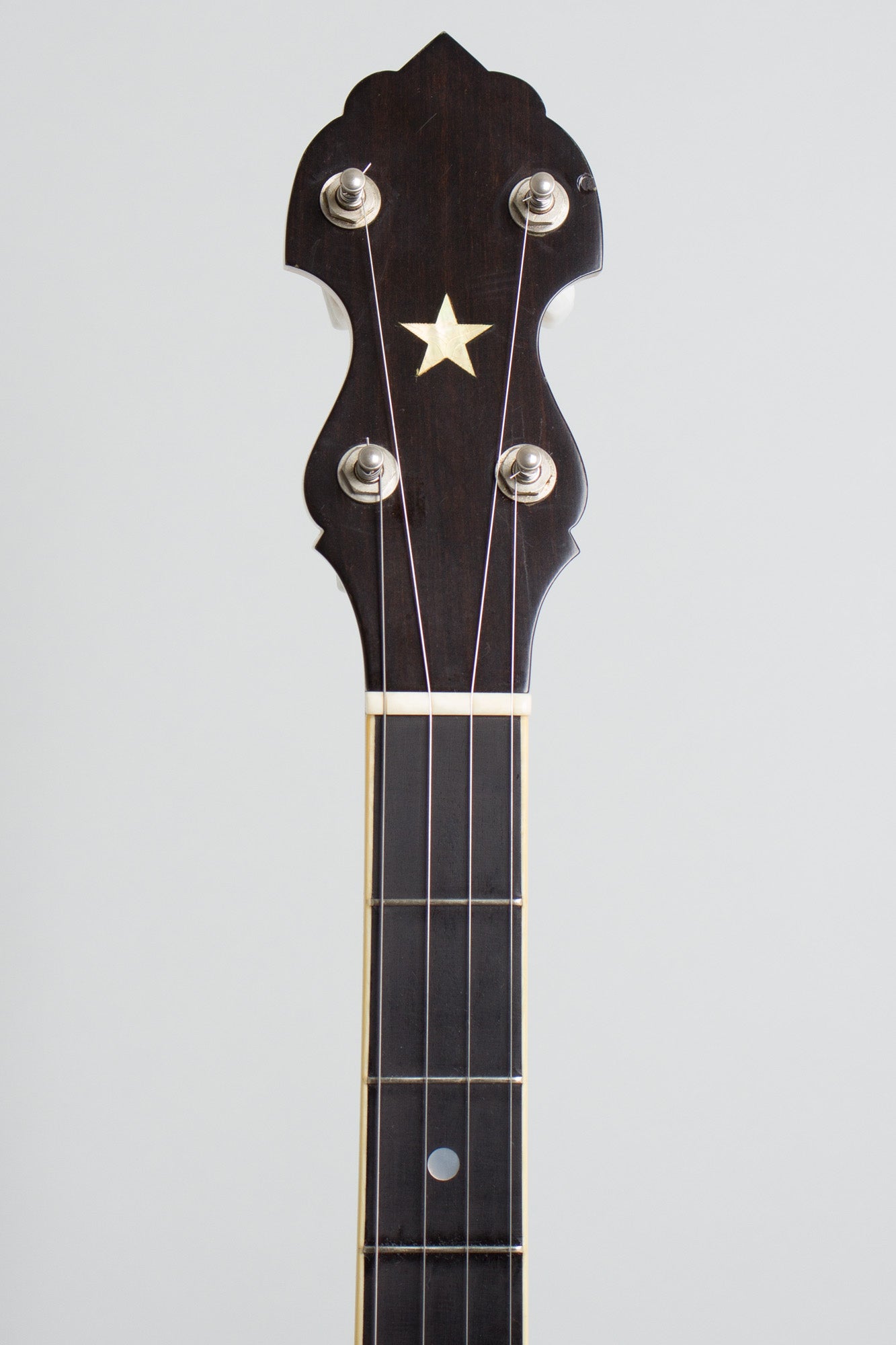 Bart Reiter Professional 5 String Banjo (1996)