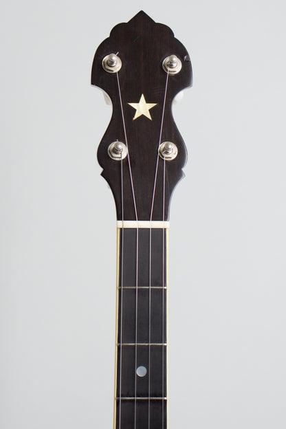 Bart Reiter Professional 5 String Banjo (1996)