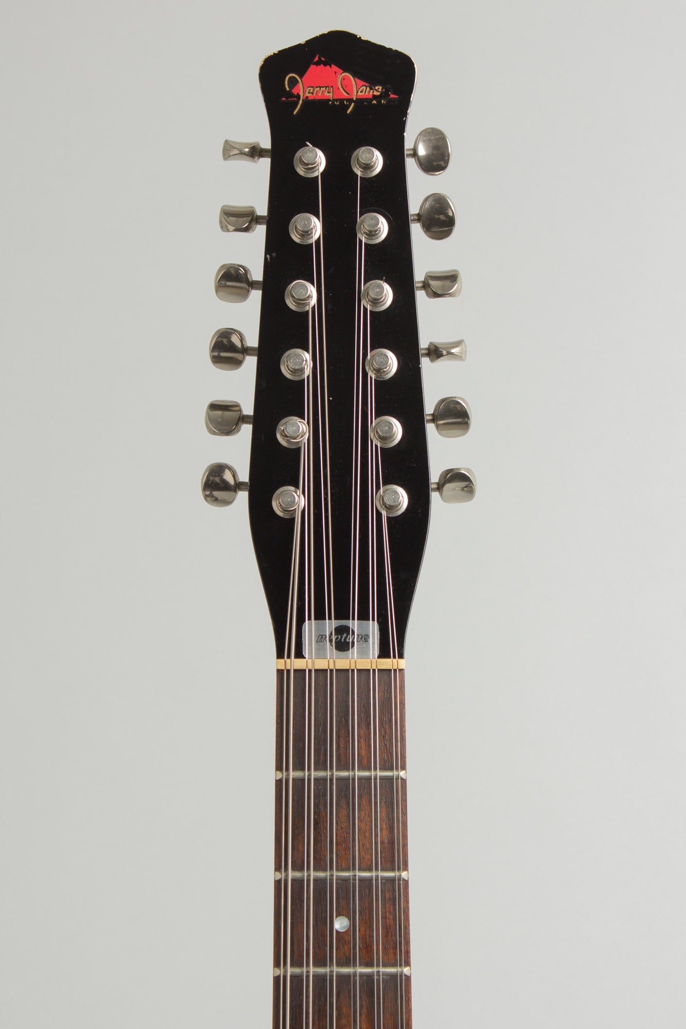 Jerry Jones Neptune 12 String Semi-Hollow Body Electric Guitar (1998)