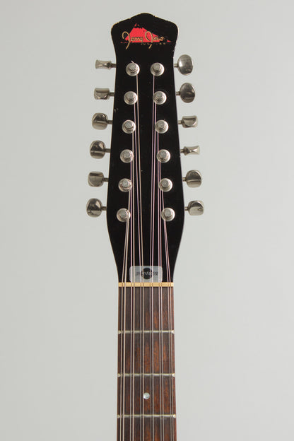 Jerry Jones Neptune 12 String Semi-Hollow Body Electric Guitar (1998)
