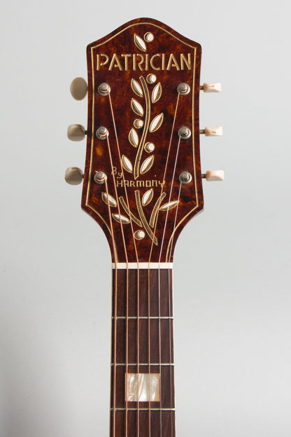 Harmony Patrician H-1414 Arch Top Acoustic Guitar (1954)
