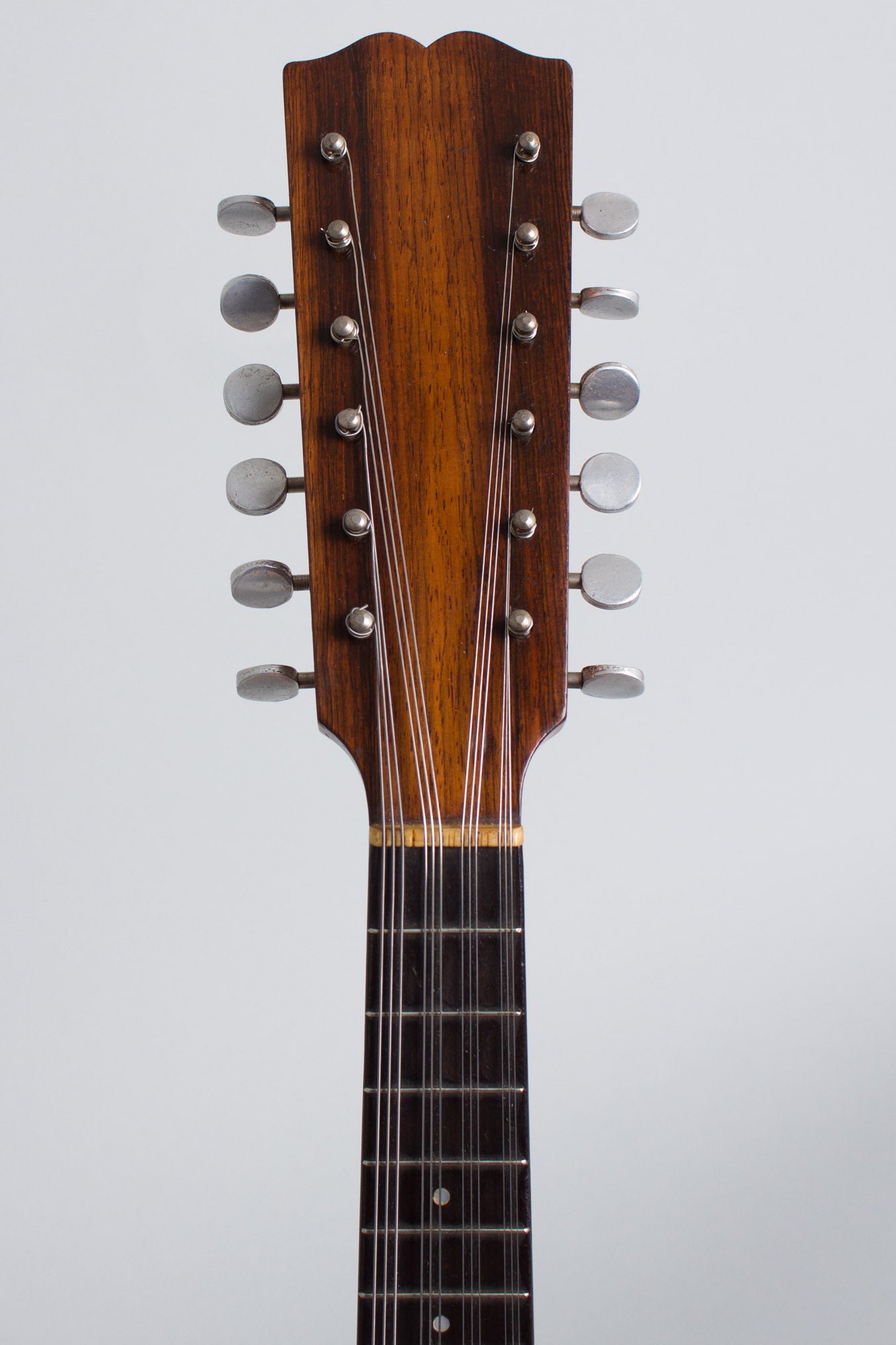 Weymann 12 string Mandolin Banjo (1911)