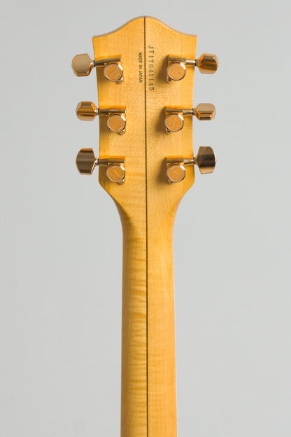Gretsch Country Gentleman G6122T-AM Hollow Body Electric Guitar (2017)