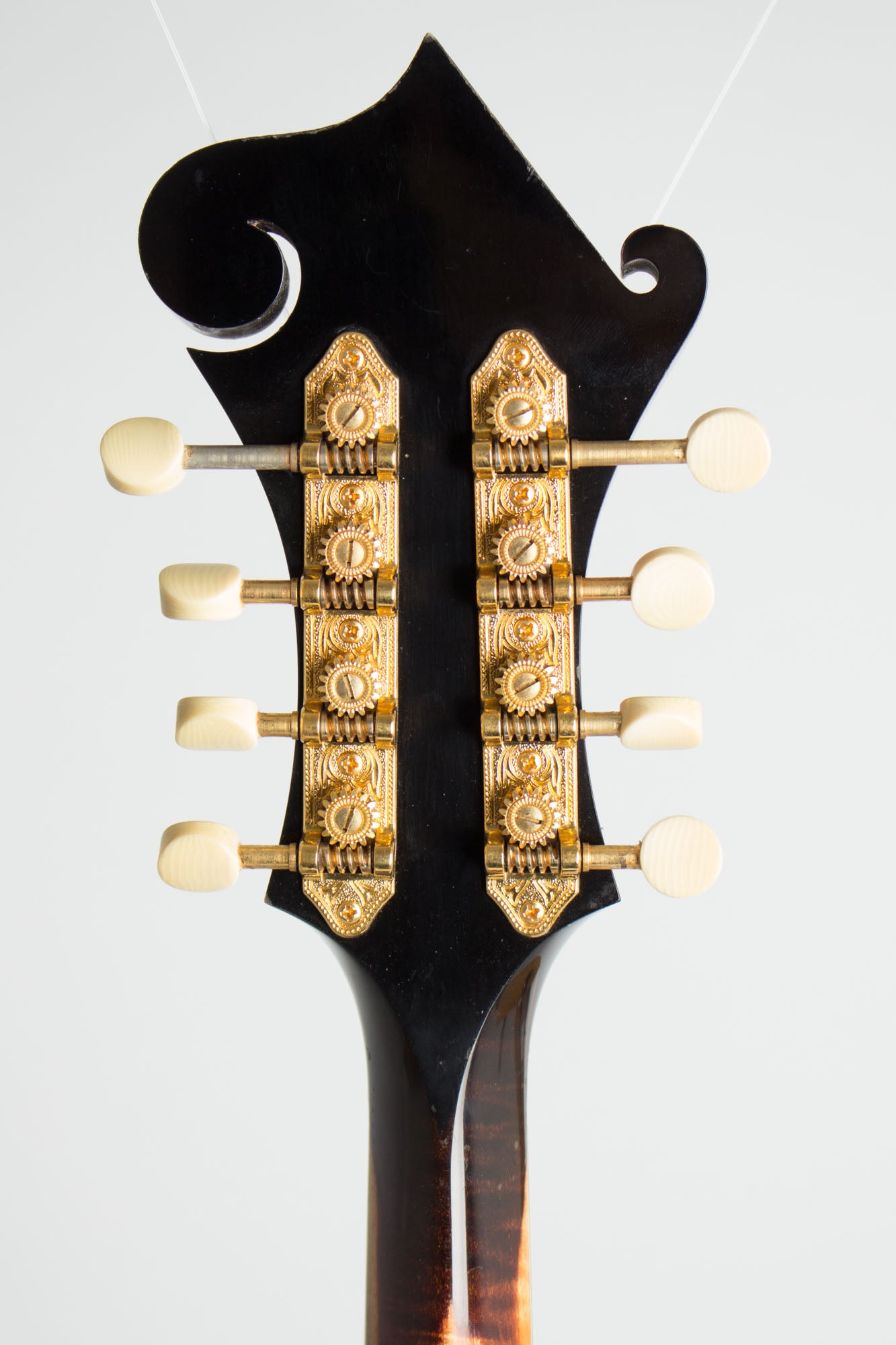 Collings MF5-R Carved Top Mandolin (2002)