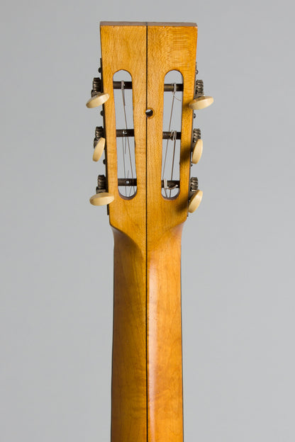 William O. Schmick Lyric Guitar Banjo (1920)
