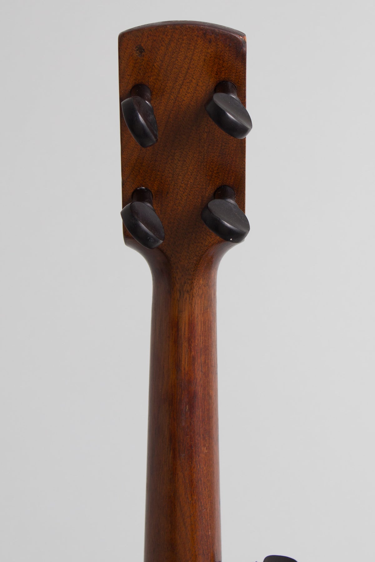 Buckbee 5 String Fretless Banjo (1880)