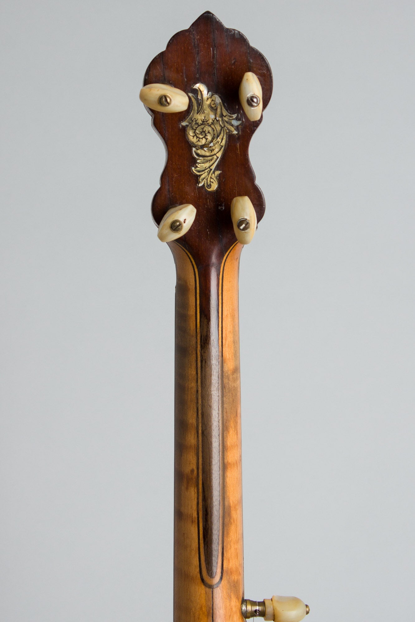 Fairbanks Whyte Laydie # 7 5 String Banjo (1907)