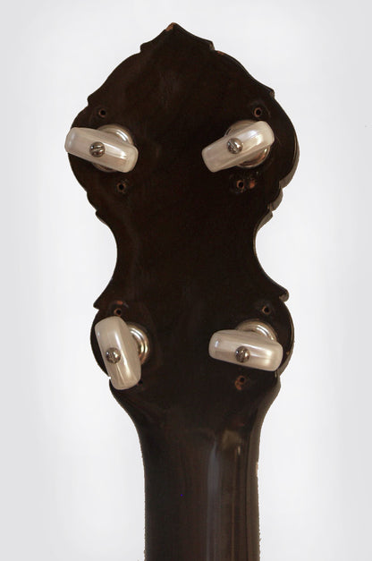 Stromberg-Voisinet Alden Composite 5 String Resonator Banjo (1930's)