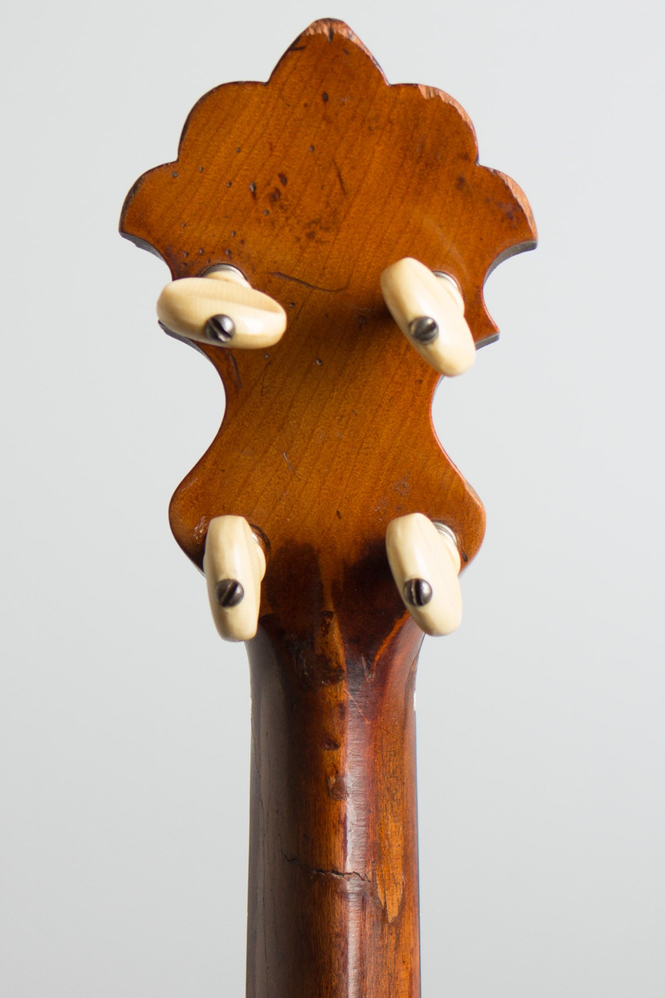 S. S. Stewart Universal Favorite #1 5 String Banjo (1898)