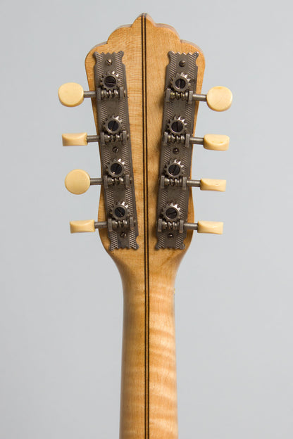 Favilla Bros. Mandolin Banjo (1920)