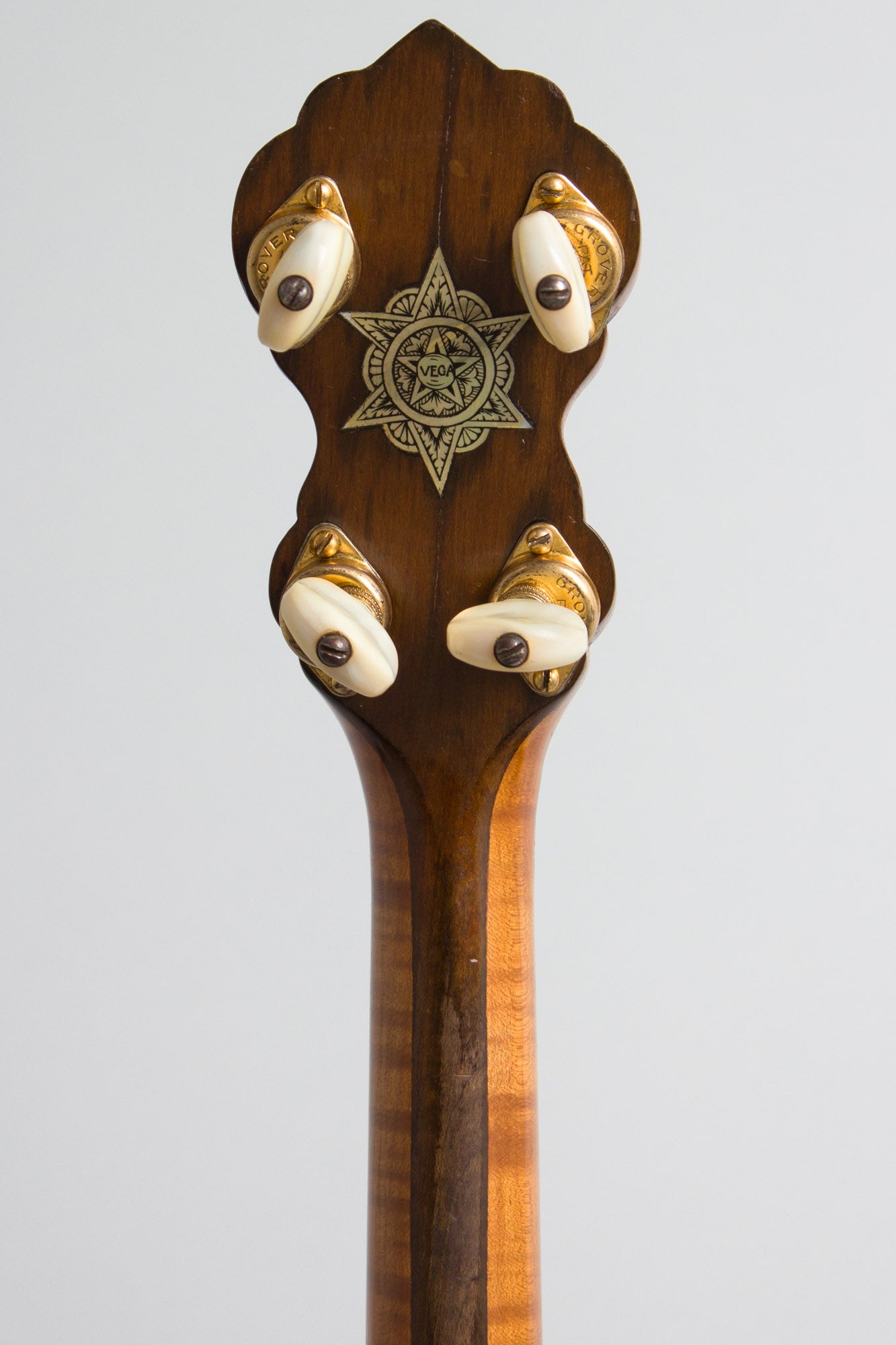 Vega Vegaphone Artist Tenor Banjo (1926)