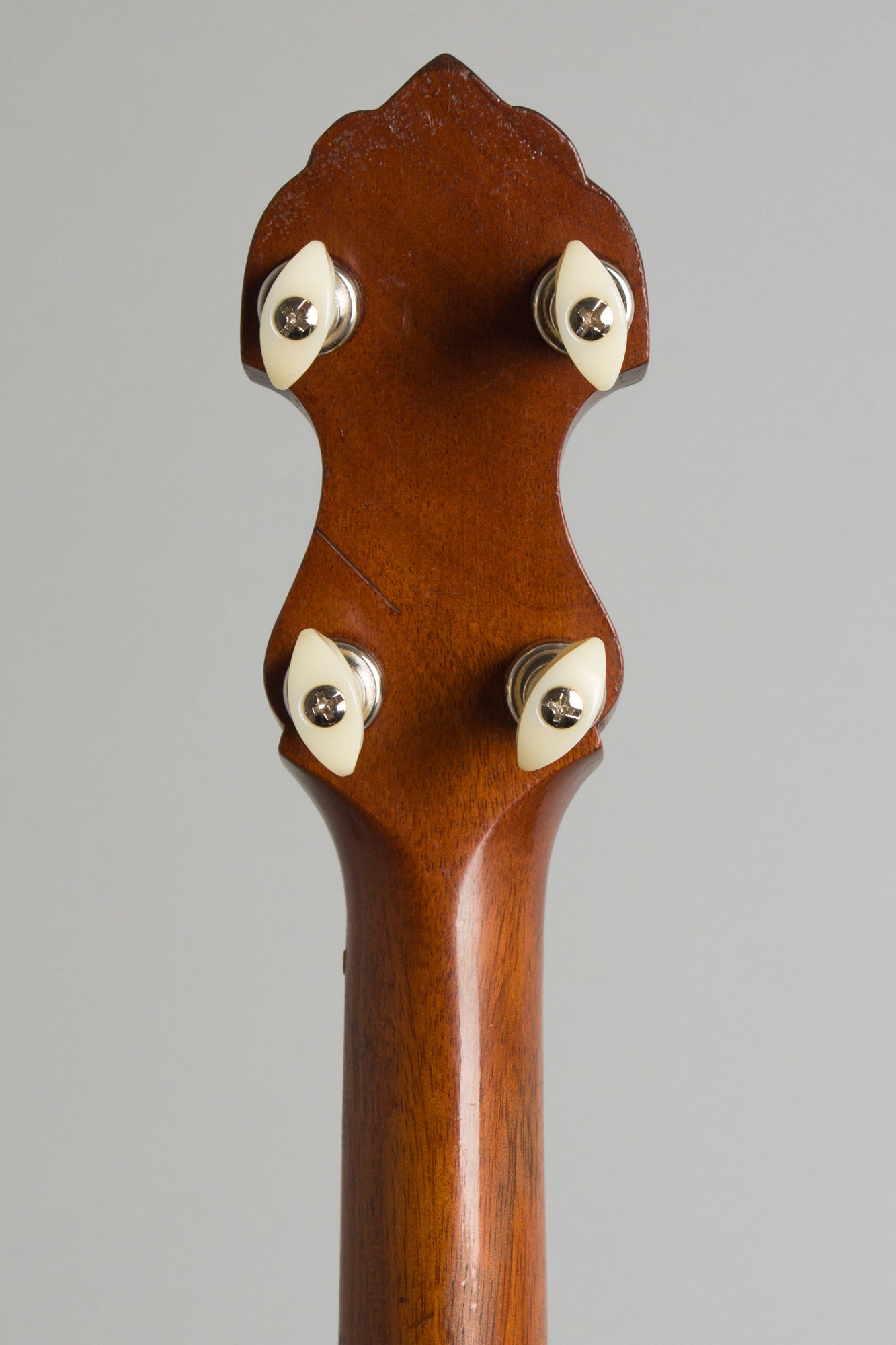 Fairbanks/Vega Senator 5 String Banjo (1920)
