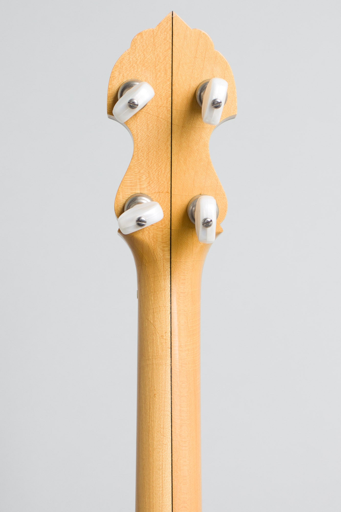 Bart Reiter Professional 5 String Banjo (1996)