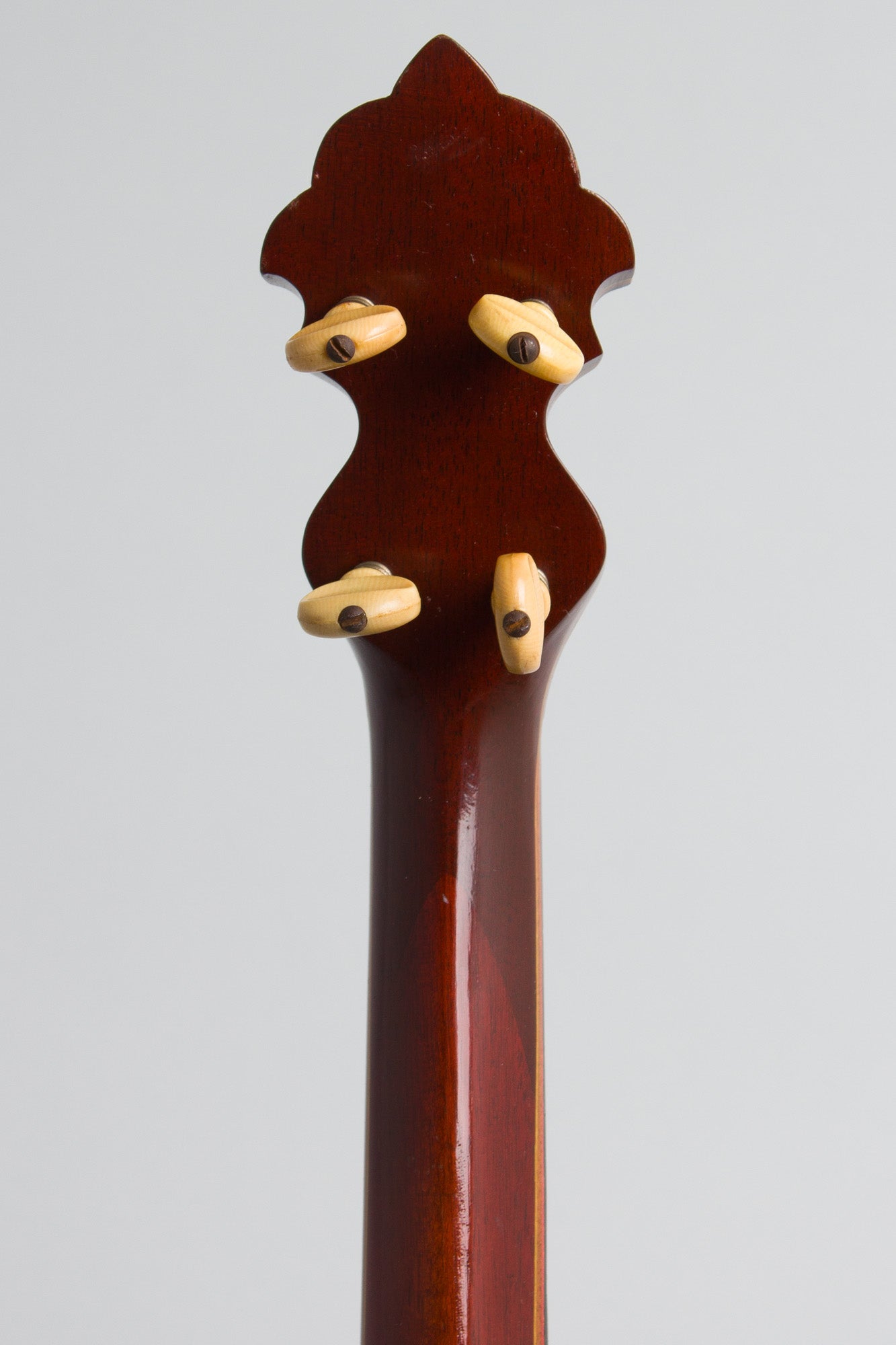 Unbranded 5 String Banjo (1895)