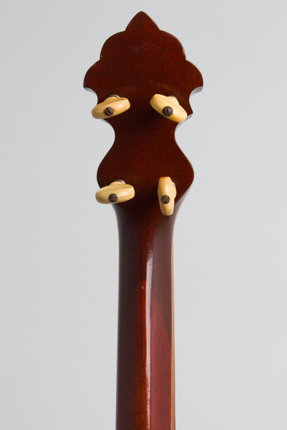 Unbranded 5 String Banjo (1895)