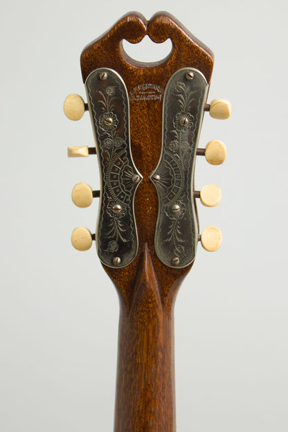 C. F. Martin Style C Flat Back Mandolin (1920)