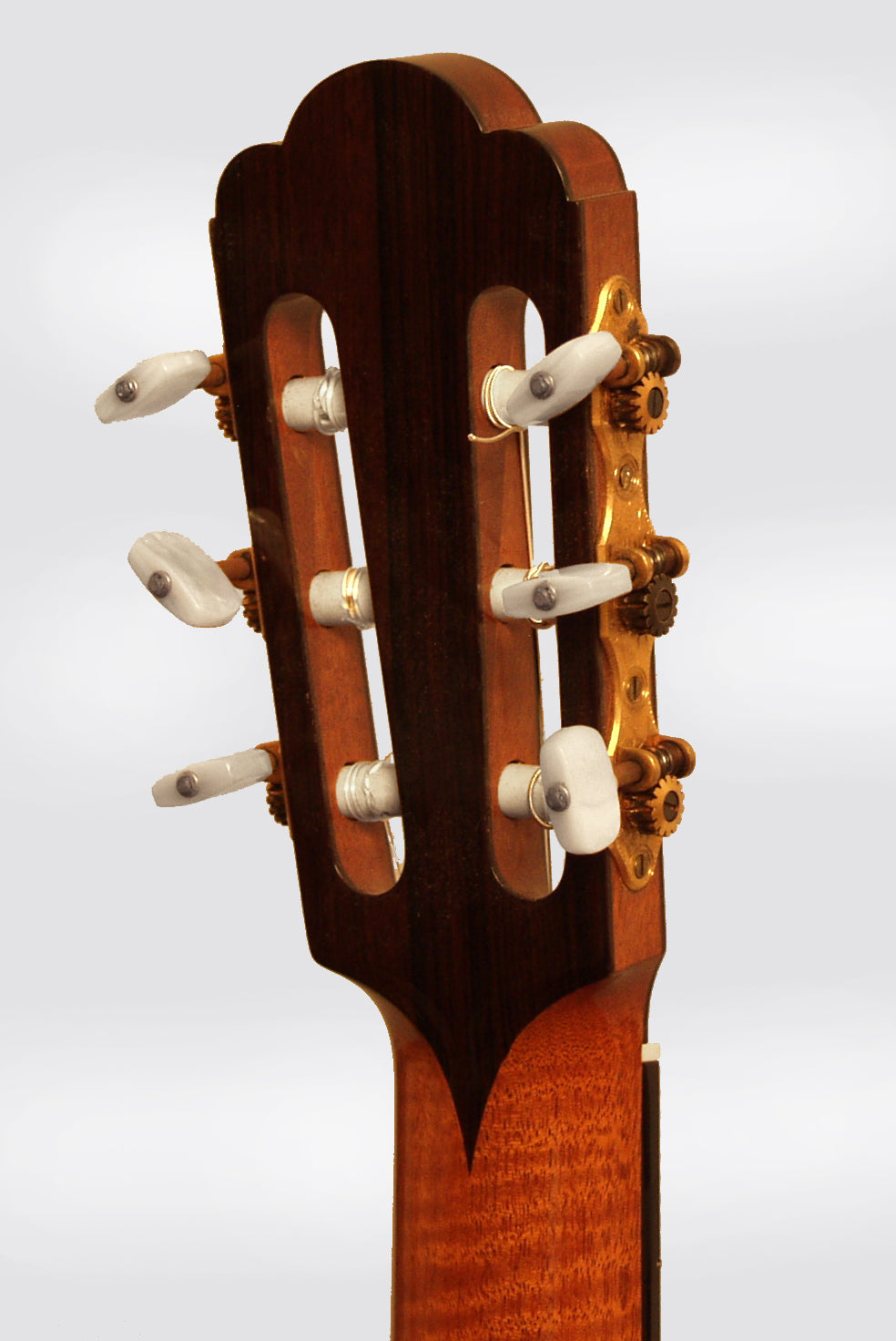 Augustine Haselbacher Classical Guitar (1975)