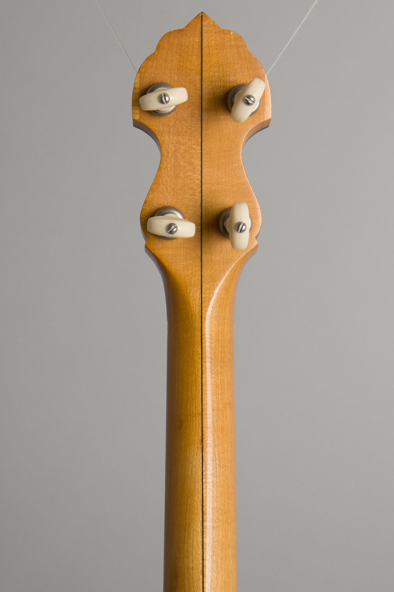 Bart Reiter Professional 5 String Banjo