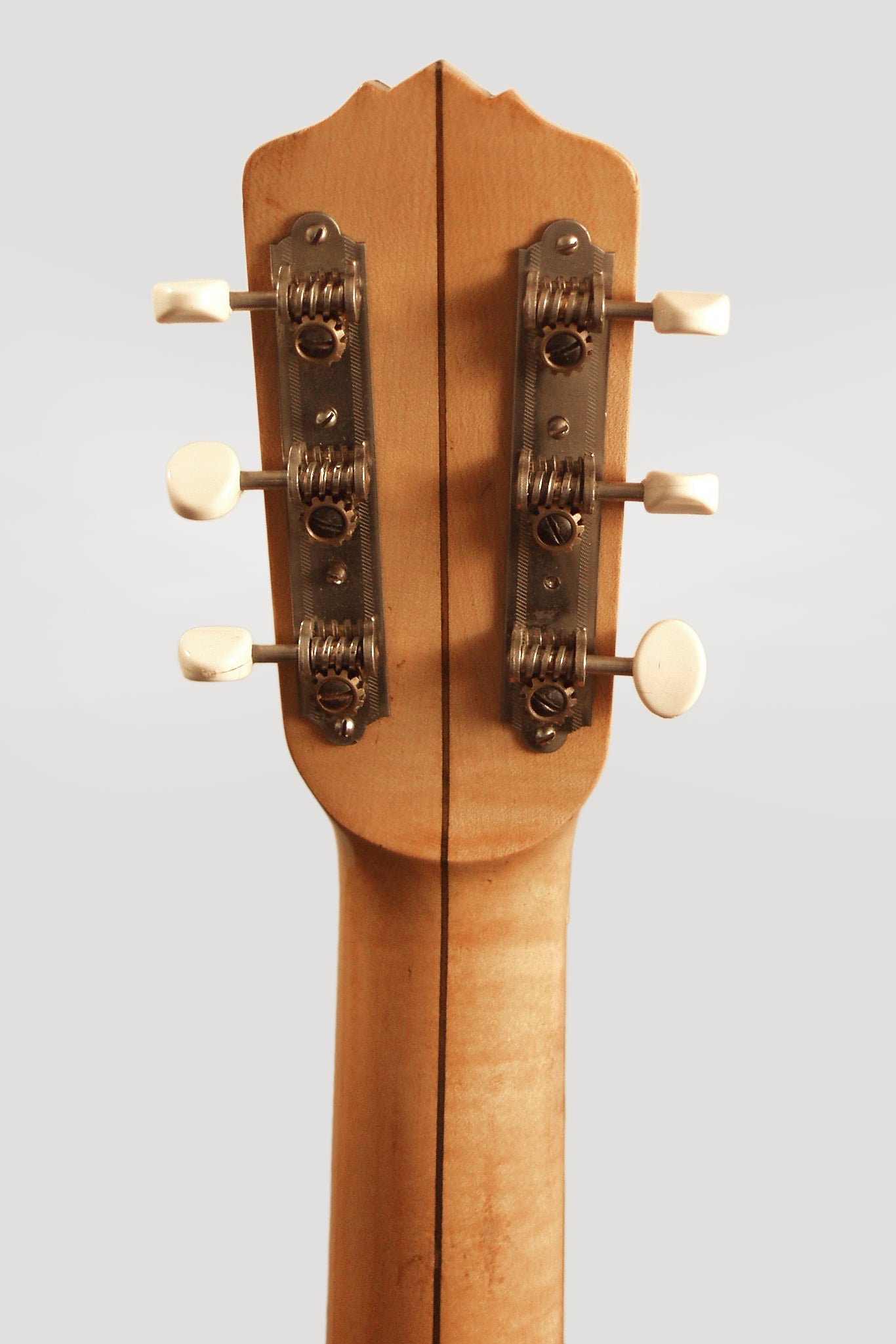 Vega Whyte Laydie Guitar Banjo (1925)