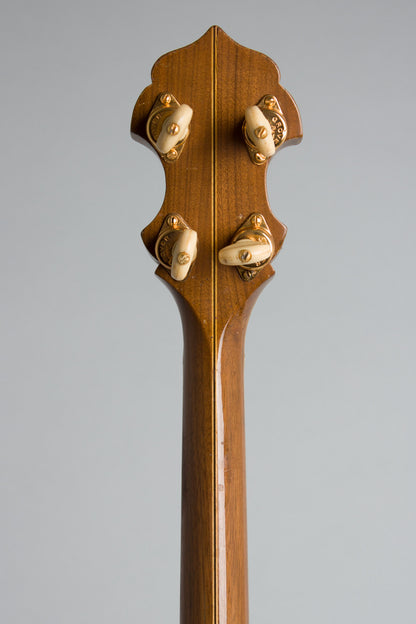 Epiphone Superb Peerless Tenor Banjo (1926)