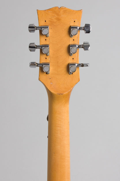 Gibson ES-320TDN Owned by Jeff Tweedy of Wilco Semi-Hollow Body Electric Guitar (1972)