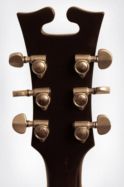 Harptone 420-S Thinline Hollow Body Electric Guitar (1970)