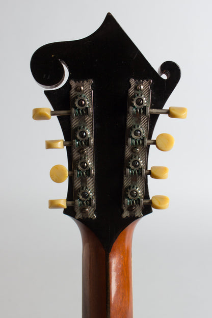 Gibson K-4 Carved Top Mandocello (1921)