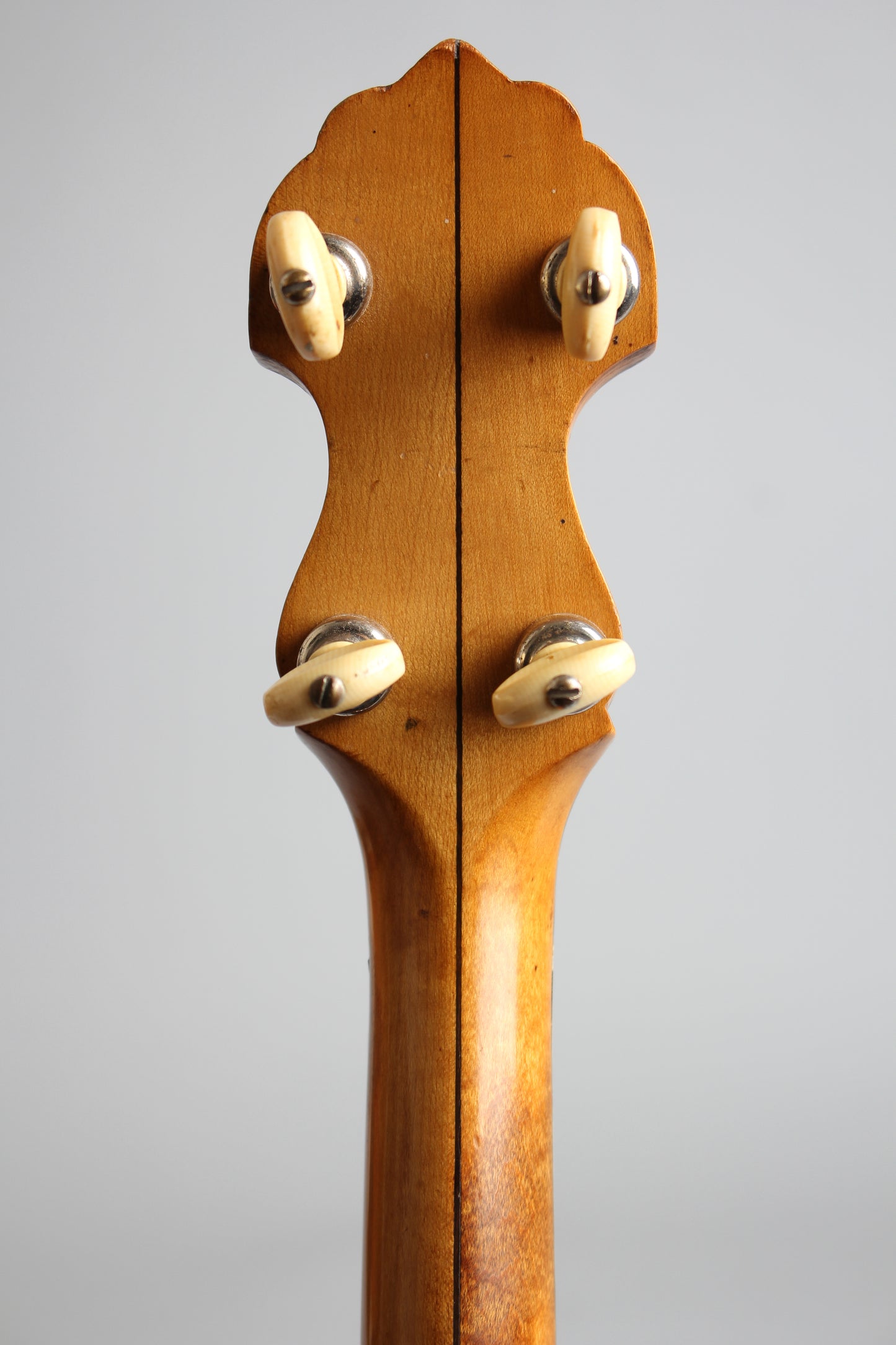 Vega Regent 5 String Banjo (1925)