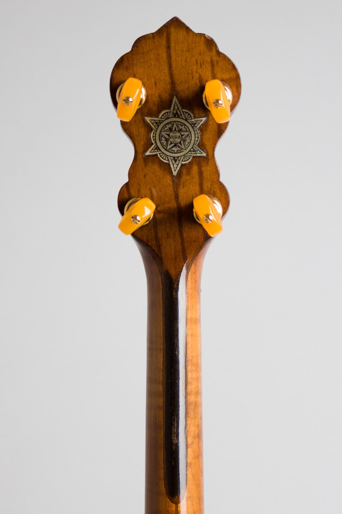 Vega Vegaphone Artist Tenor Banjo (1926)