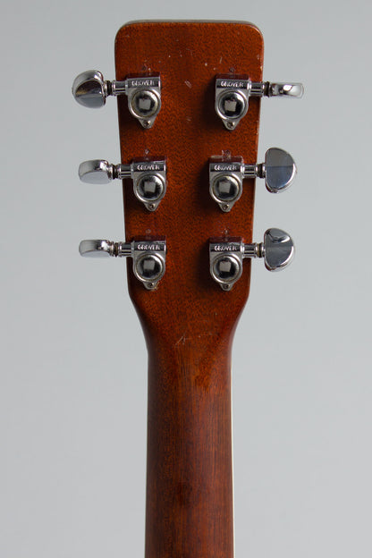 C. F. Martin D-35 Flat Top Acoustic Guitar (1967)