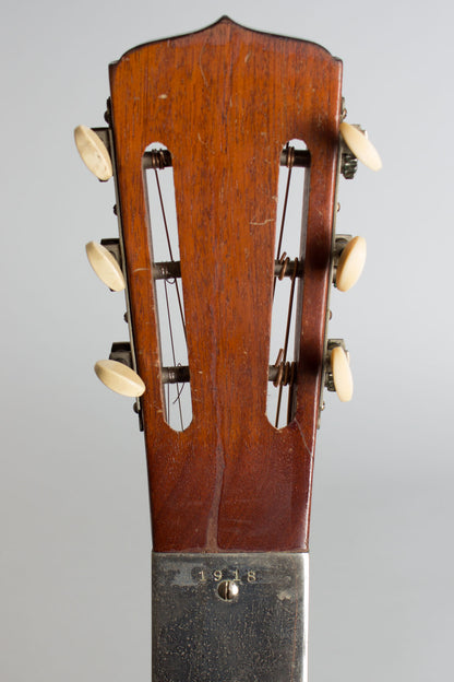 National Style 1 Tricone Squareneck Resophonic Guitar (1930)